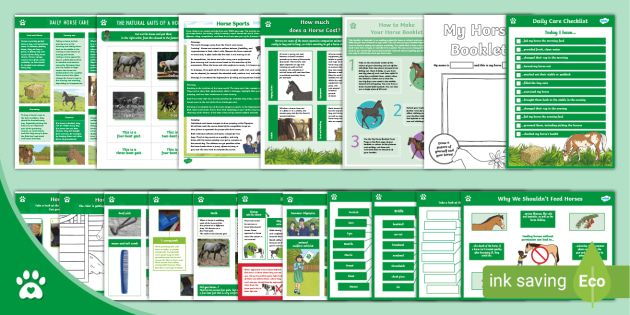 My Horse Booklet - Lapbook Creation Pack - Twinkl Pets