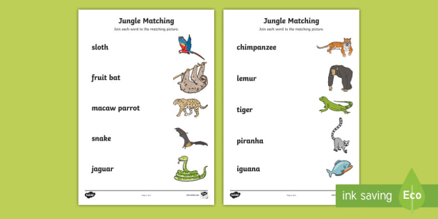 jungle themed word and picture matching worksheet