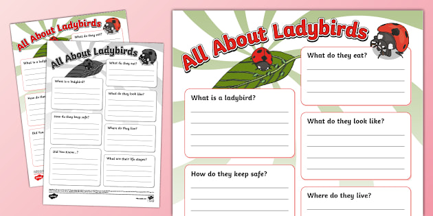 t-sc-1683813556-ladybirds-fact