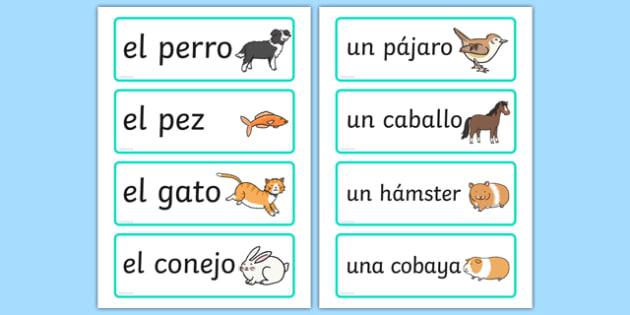 FREE! - Spanish Pets Word Cards (teacher made)