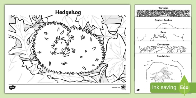 bear snores on coloring pages
