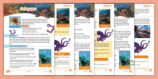 LKS2 Octopus Reading Comprehension | Ocean Creatures