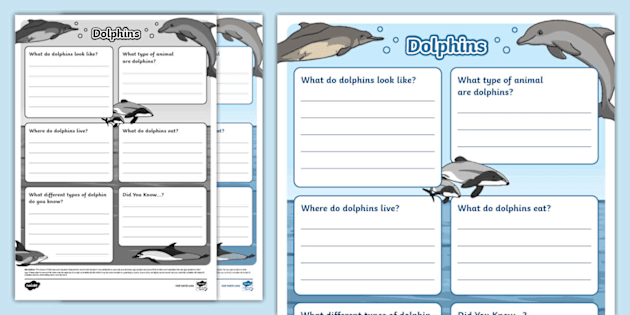 t-tp-1657015774-dolphins-fact-