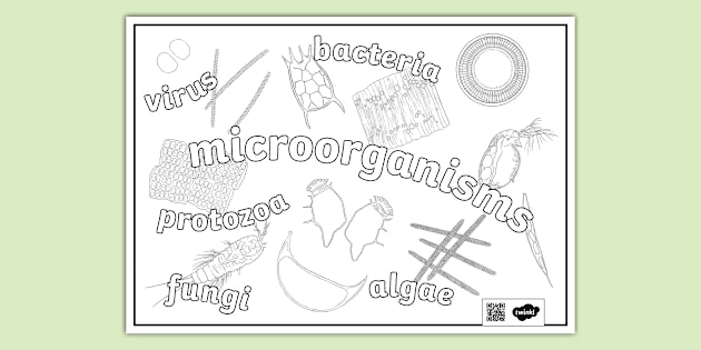 Microorganisms Colouring Doodles Sheet