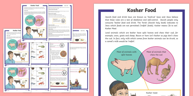 T2 Re 382 Kosher Food Differentiated Fact File Ver 1 