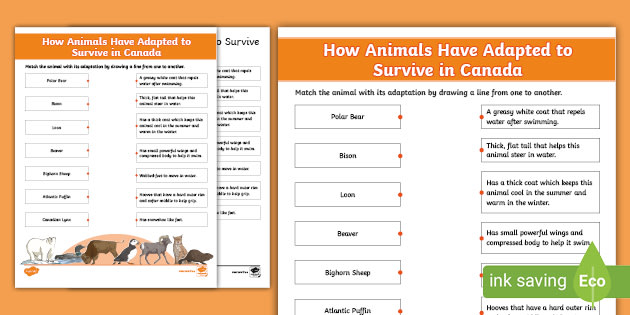 Adaptations of Animals in Canada - Life Systems and Habitats