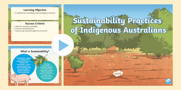 Indigenous Australian Fishing Methods Activity PowerPoint