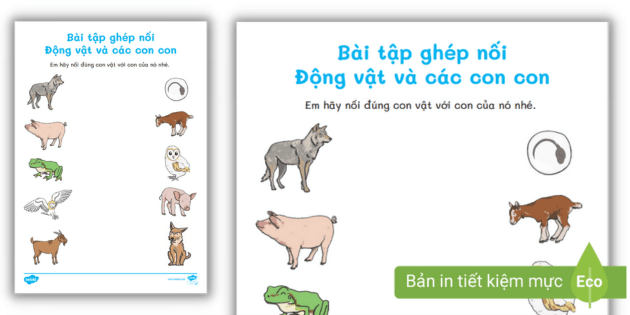 Bài Tập Nối Con Vật và Con Vật Con
