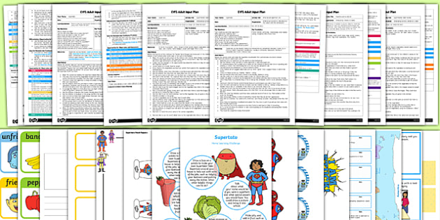 EYFS Adult Input Planning and Resource Pack to Support