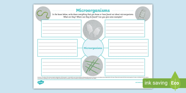 Microorganisms Mind Map