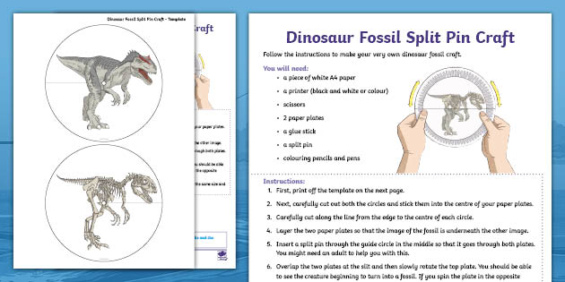 Split Pin Dinosaur Fossil Craft Activity Twinkl Originals