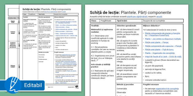 Plantele. Părți componente – Schiță de lecție clasa pregătitoare