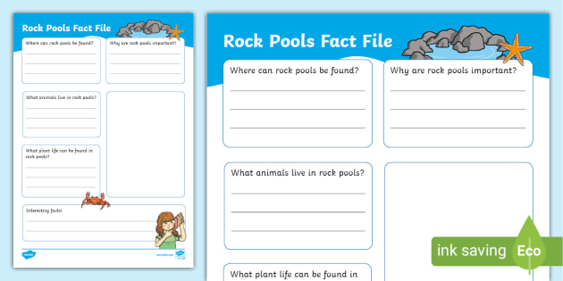 Rock Pool Fact File Template (teacher made)