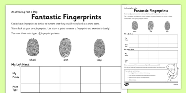 Fantastic Fingerprints Worksheet / Worksheet