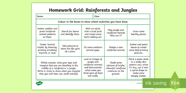 Rainforest homework help