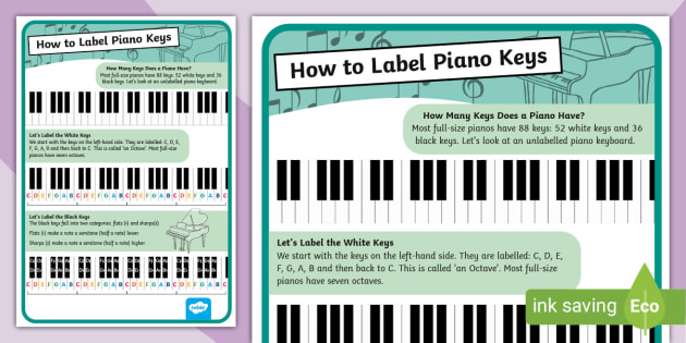 Volcanic Blot miser Piano Keys Labelled Poster | CfE Resources | Twinkl