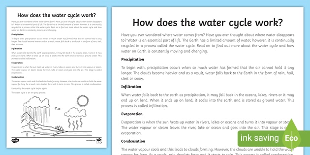 How Does the Water Cycle Work Step by Step? Kids Worksheet