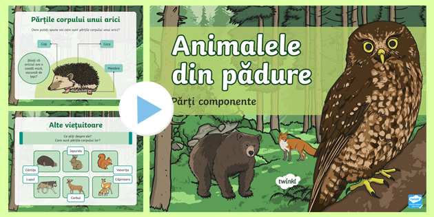 Animalele din pădure: Părți componente - Prezentare PowerPoint