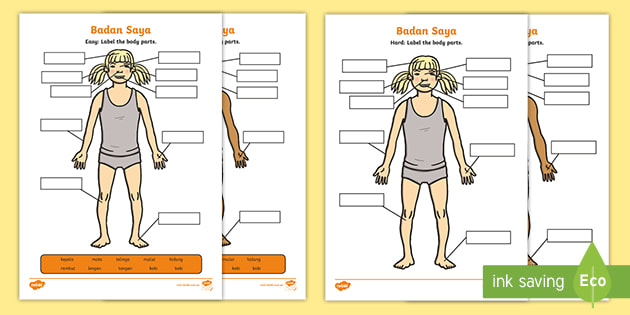 My Body Labelling Activity (teacher made)