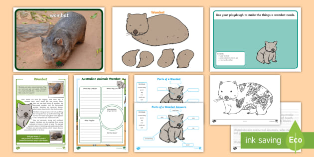 Australian Wombat Resource Pack | Wombat Craft Activity