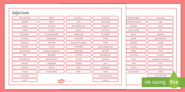 french worksheet adjectives