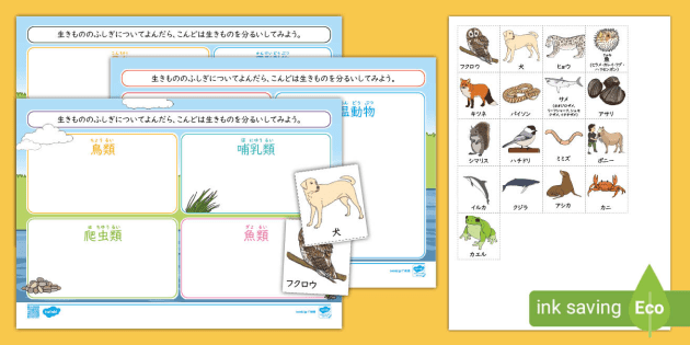 動物の仲間分け、アクティビティシート 日本語 Sorting Worksheet