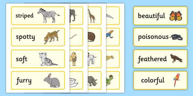 Animal Adjectives Word Cards - Animal Adjectives Word Cards