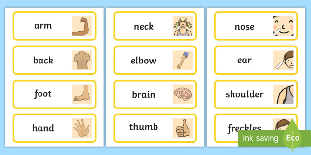 Parts of the Body Topic Word Cards - Body parts, my body, nose