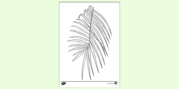 FREE! - Jungle Leaf Colouring Sheet | Colouring Sheets