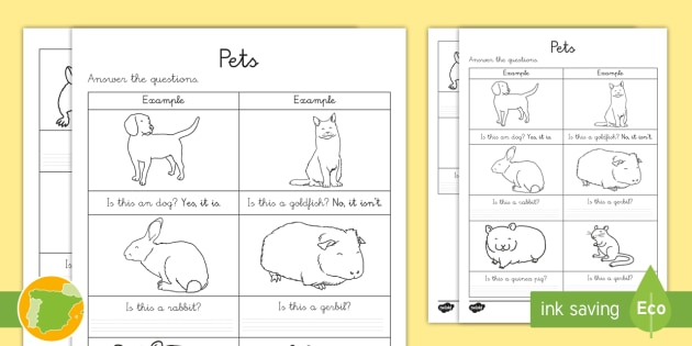 A1 Ficha de actividad: Preguntas - Mascotas en inglés