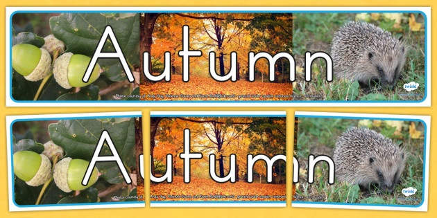 Four Seasons Photo Display Banner Autumn Seasons Autumn