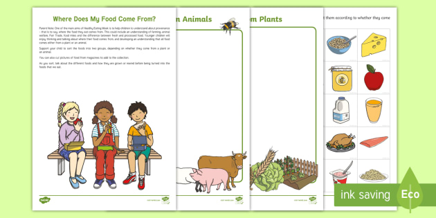 Where Does Food Come From? | Parent Home Teaching Worksheet