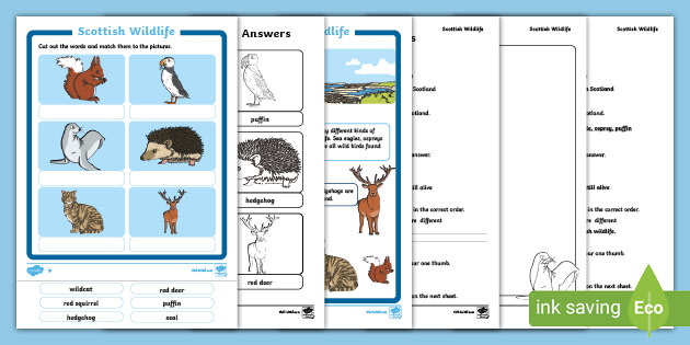 Let's Learn About Scottish Wildlife Differentiated Reading Comprehension