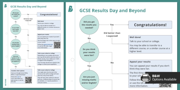 * NEW * GCSE Results Day and Beyond