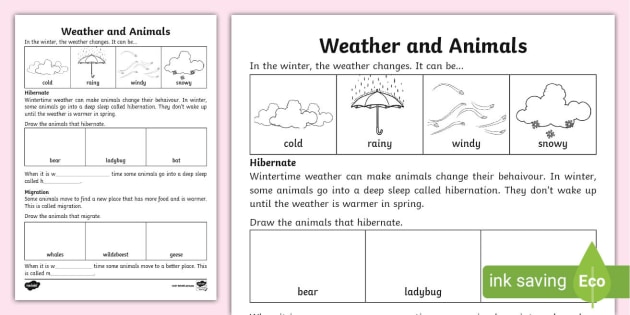 Weather and Animals Worksheet (teacher made) - Twinkl