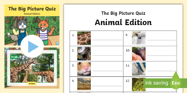 Animal Picture Quiz with Answers Printable - Animal Quiz