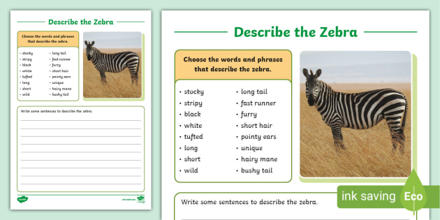 describe the zebra writing worksheet teacher made