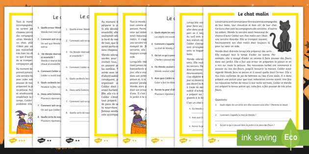 Comprehension Ecrite Differenciee Le Chat Malin