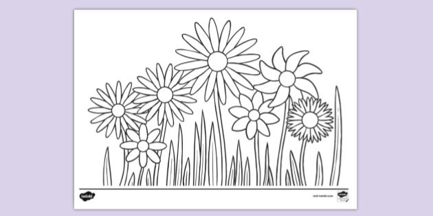 Spring Colouring Page - Primary Resources (Teacher-Made)
