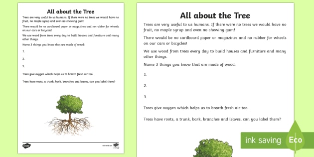 All about the Tree Read and Draw Worksheet / Worksheet - World Around