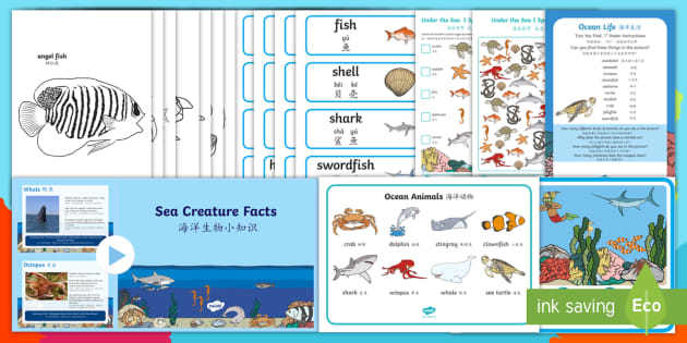 Ocean Life Resource Pack English Mandarin Chinese