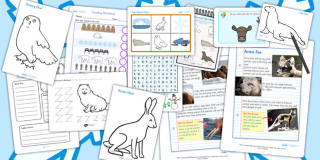 Polar Regions Activity Pack (teacher made)