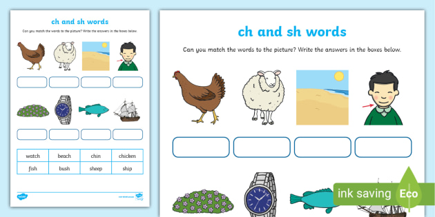 ch and sh Initial and Final Sounds Matching Worksheet