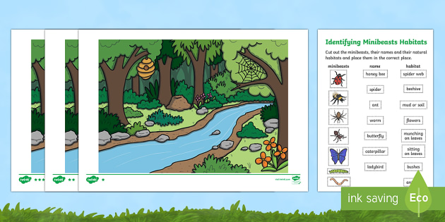 Identifying Minibeast Habitats Worksheet / Worksheets