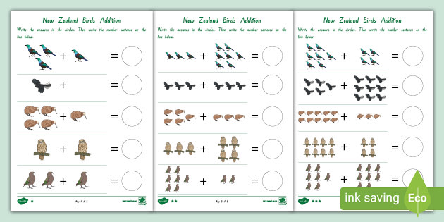 New Zealand Birds Addition (teacher made)
