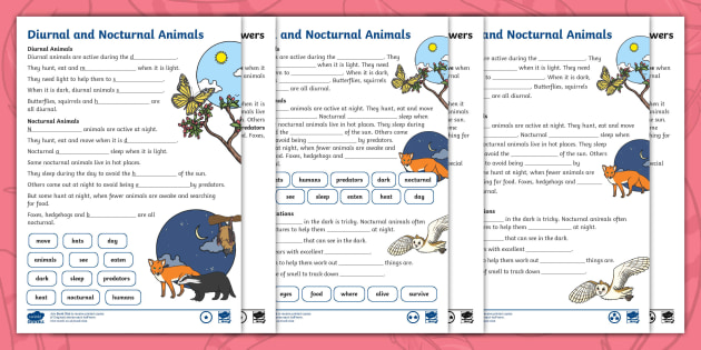 Diurnal and Nocturnal Animals Fill in the Blanks Cloze Activity