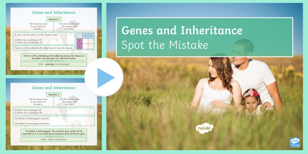 Spot the Mistake: Inheritance PowerPoint
