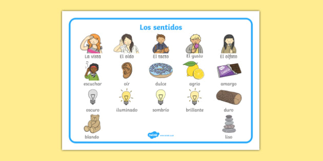 los-sentidos-the-senses-word-mat-spanish