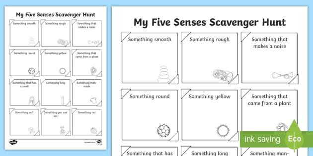 sensory scavenger hunt activity teacher made