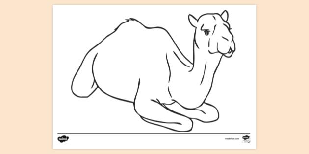 Camel Sitting Colouring Sheet | Colouring Sheets